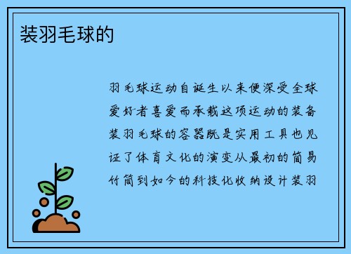 装羽毛球的