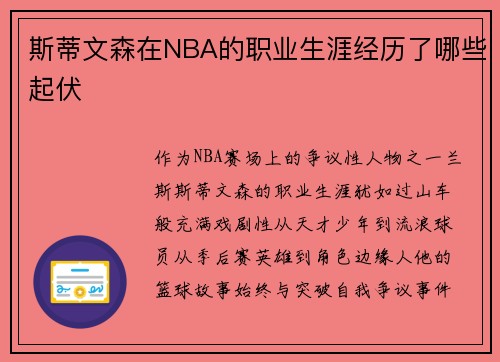 斯蒂文森在NBA的职业生涯经历了哪些起伏